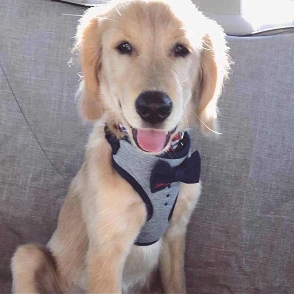 Meet your Posher, Jimmy